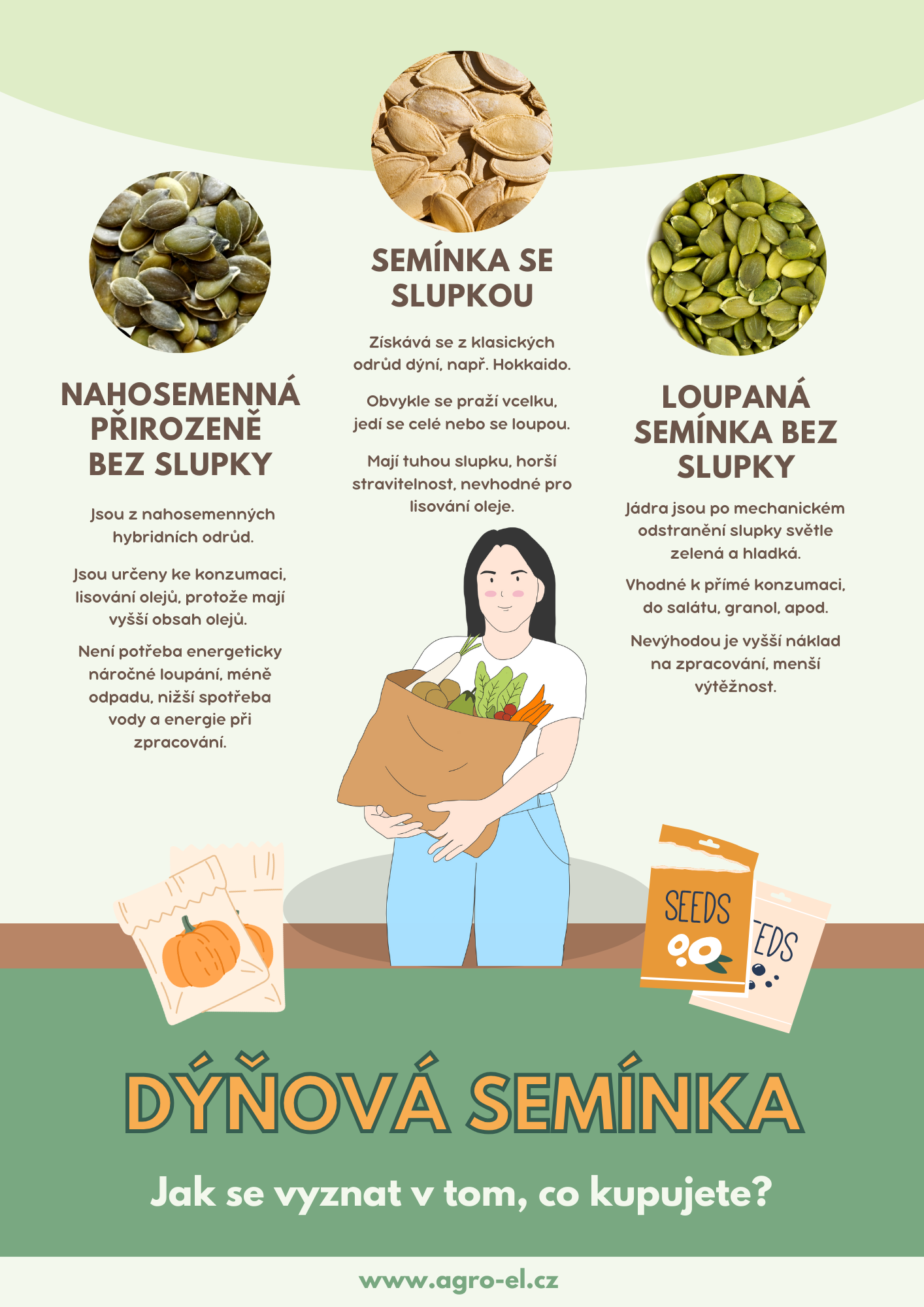 dýňová semínka infografika s webem (002)